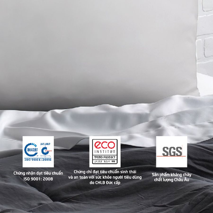 home banner