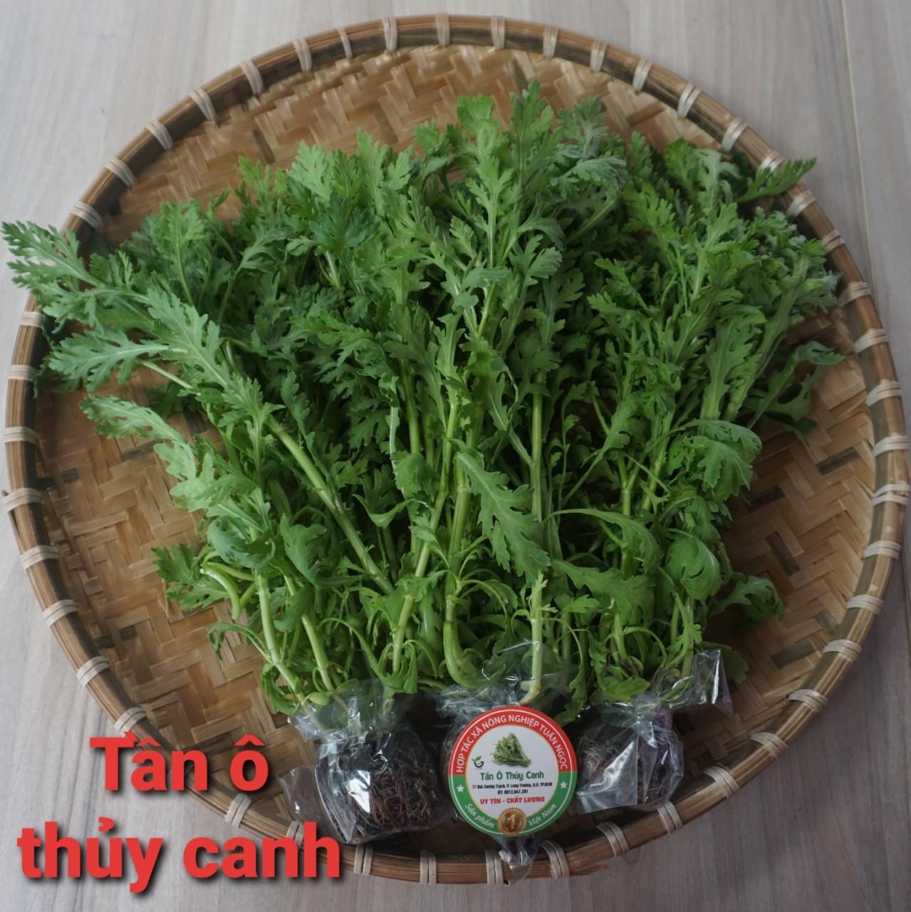 home banner