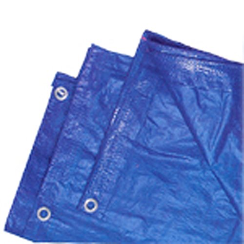 home banner