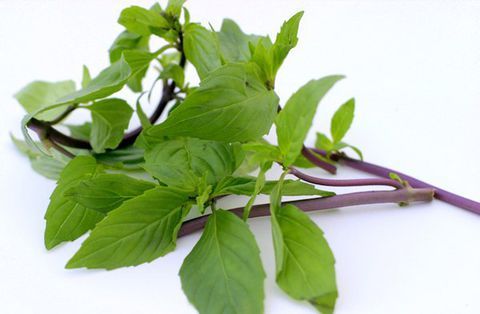 RAU QUẾ-duoc-ban-tai-Bánh Xèo 79