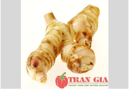 CỦ RIỀNG-duoc-ban-tai-Green life food huế
