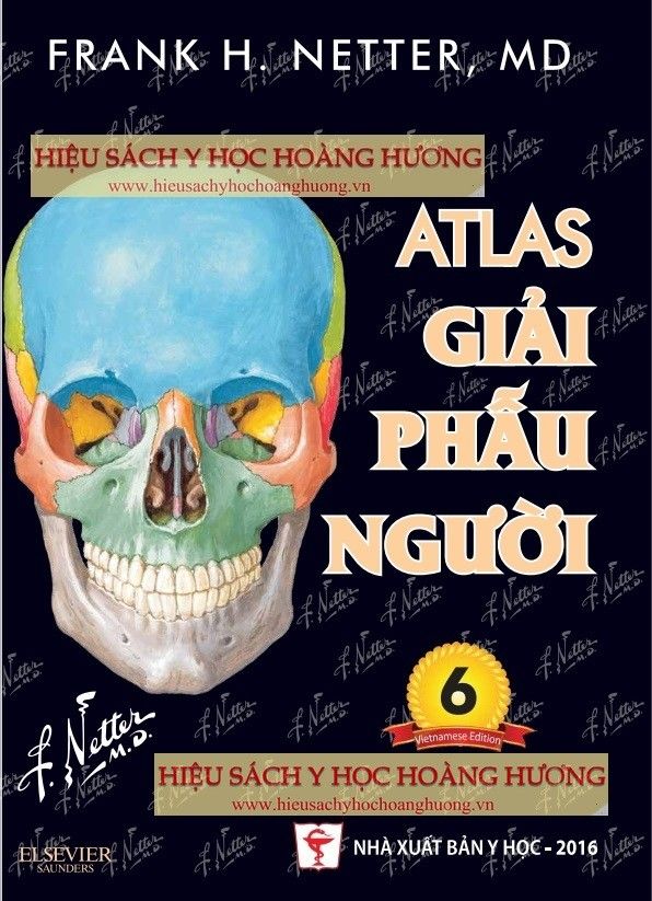 home banner