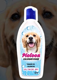 home banner