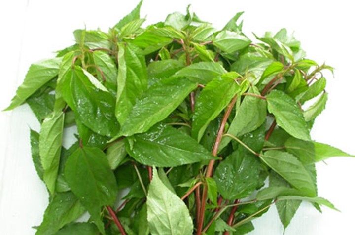 RAU ĐAY-duoc-ban-tai-Ăn dặm mẹ Min