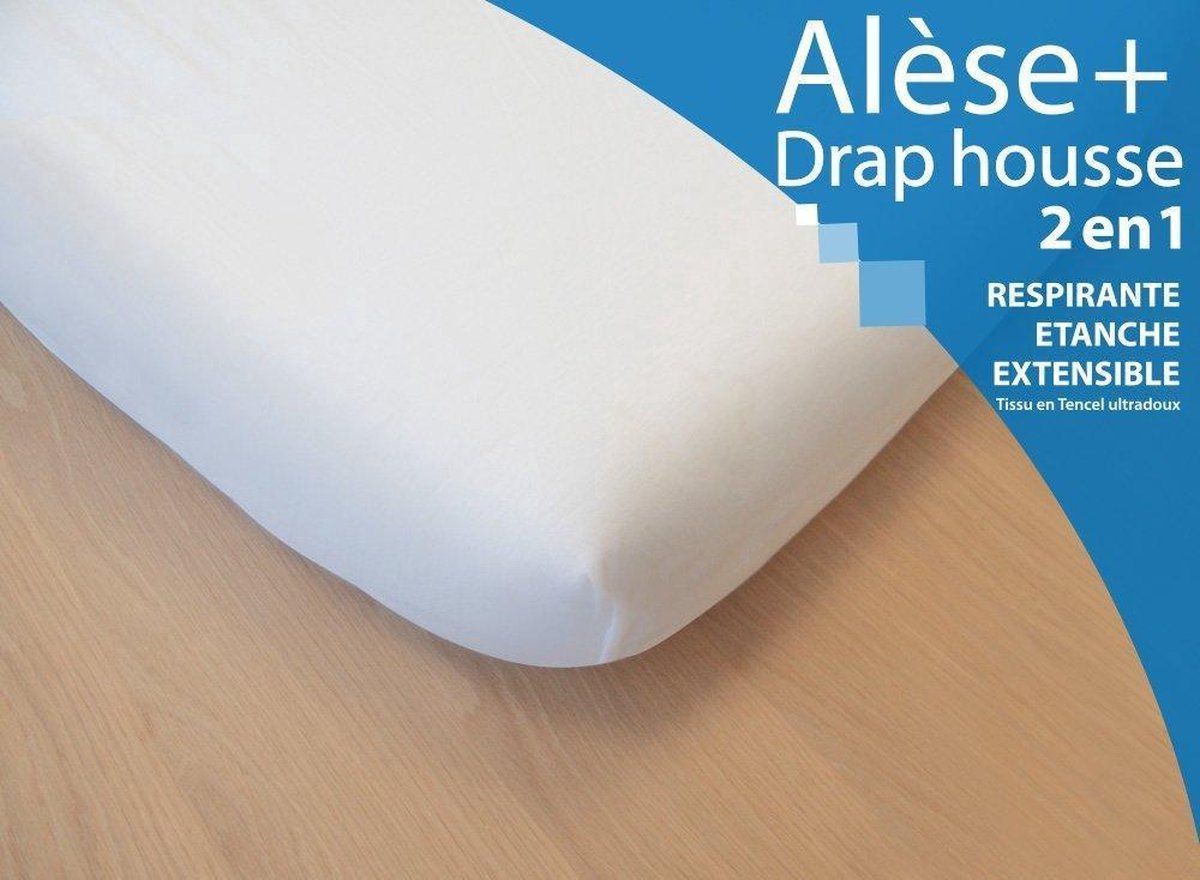 home banner