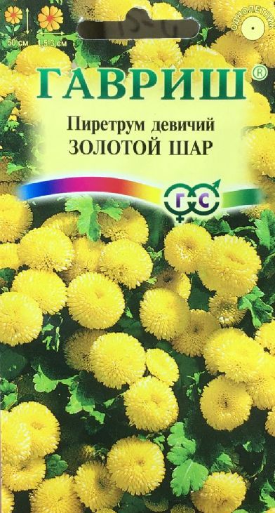 home banner