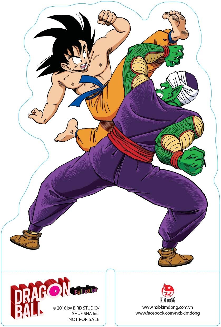 home banner