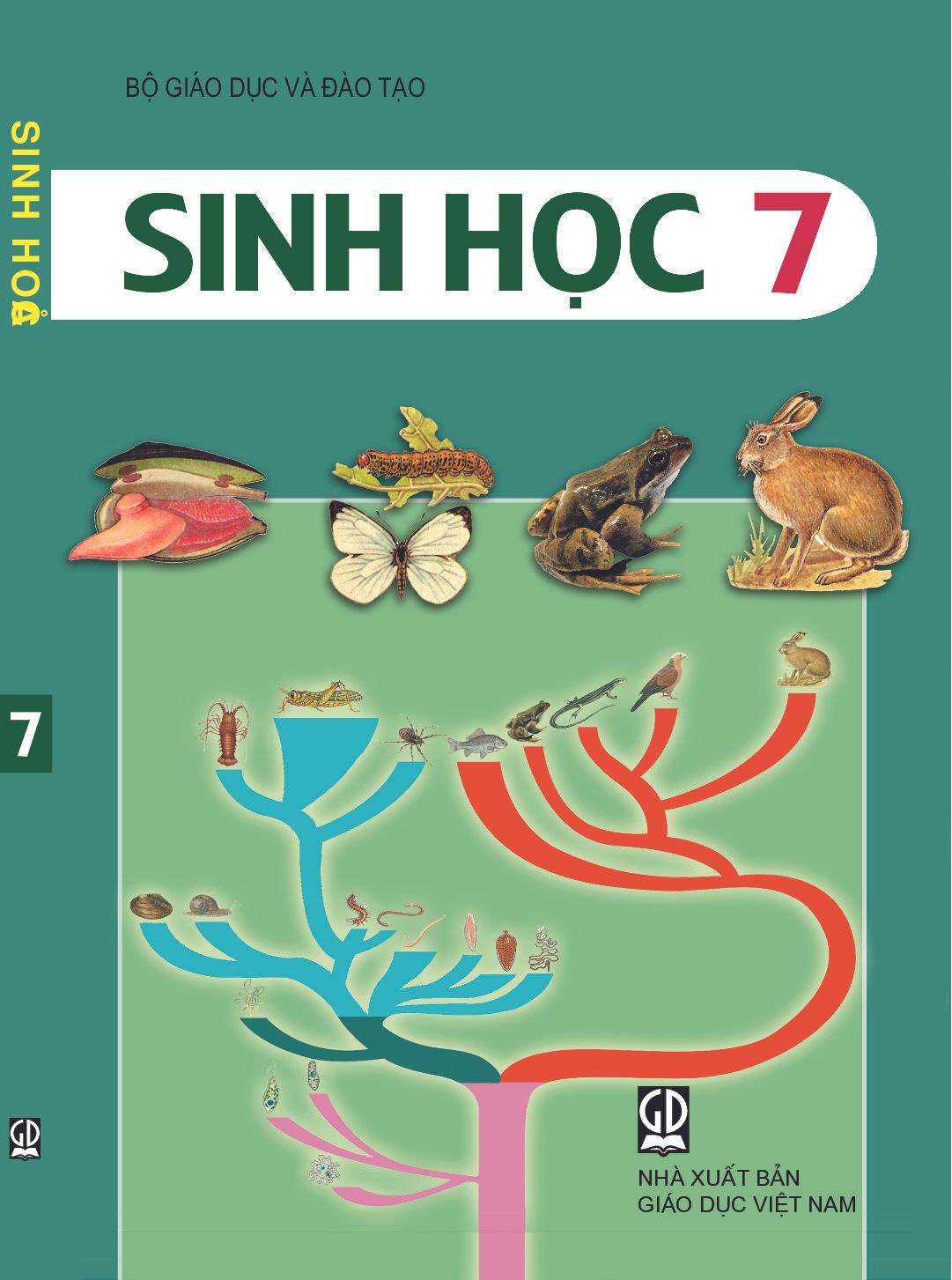 home banner