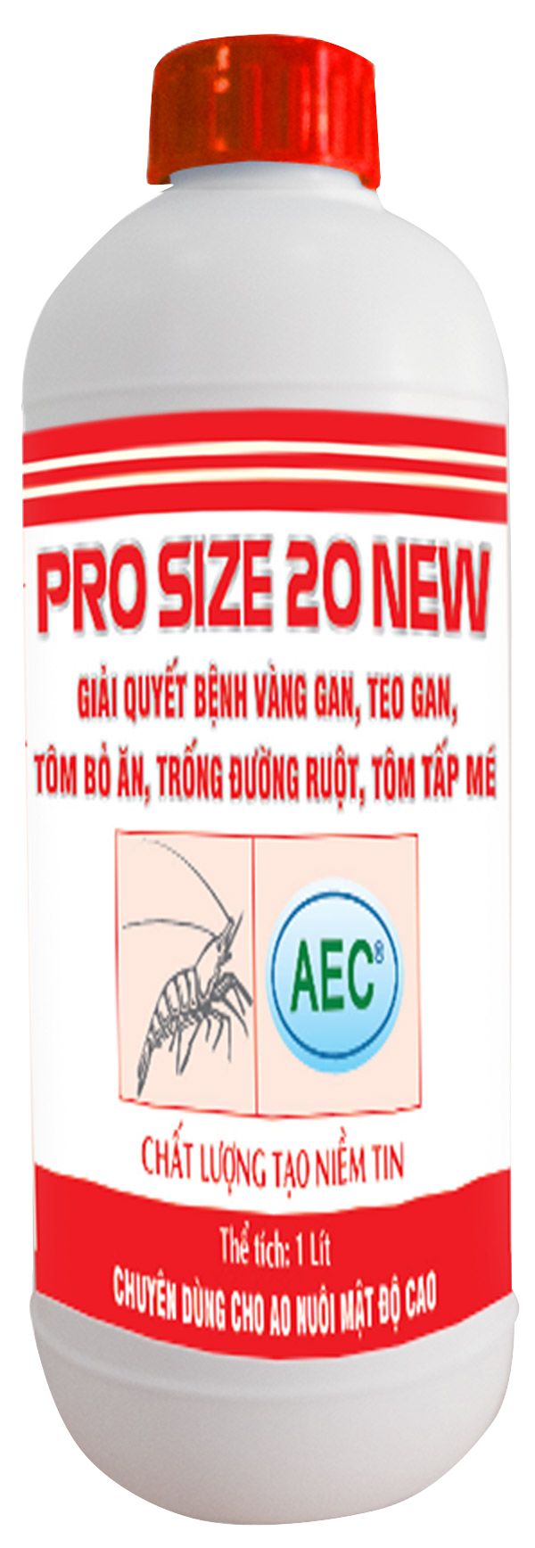 home banner